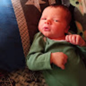Meet your Posher, Bella